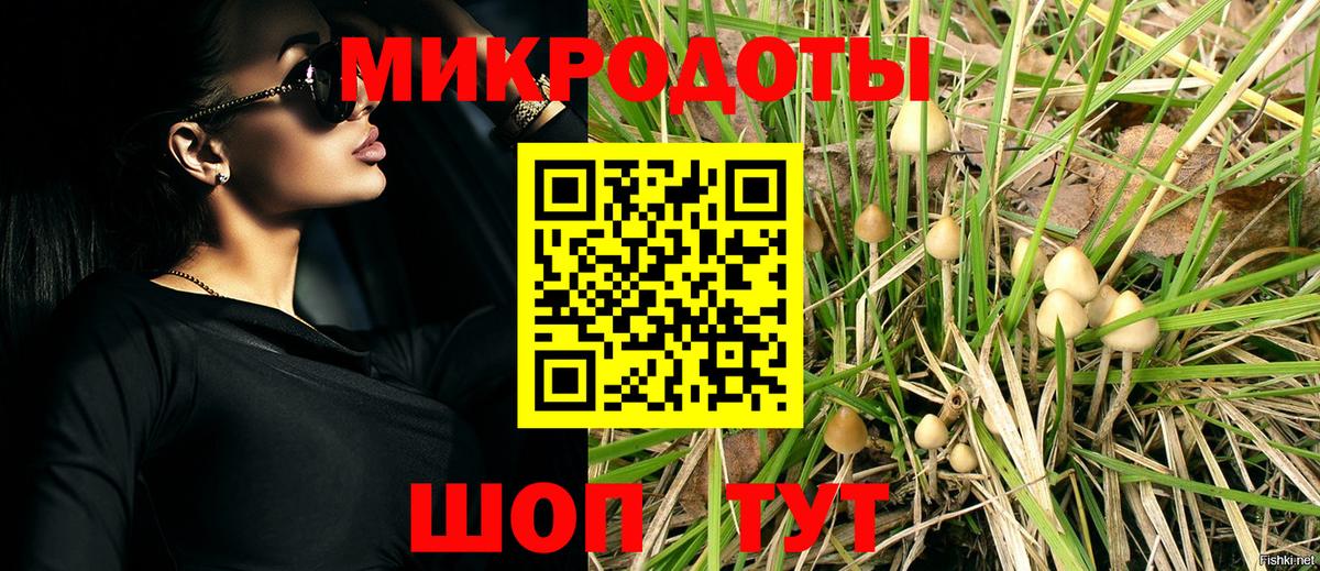 Пушкино  Галлюциногенные грибы Cubensis  цены наркотик  Псилоцибиновые грибы MAGIC MUSHROOMS  Вход с VPN 